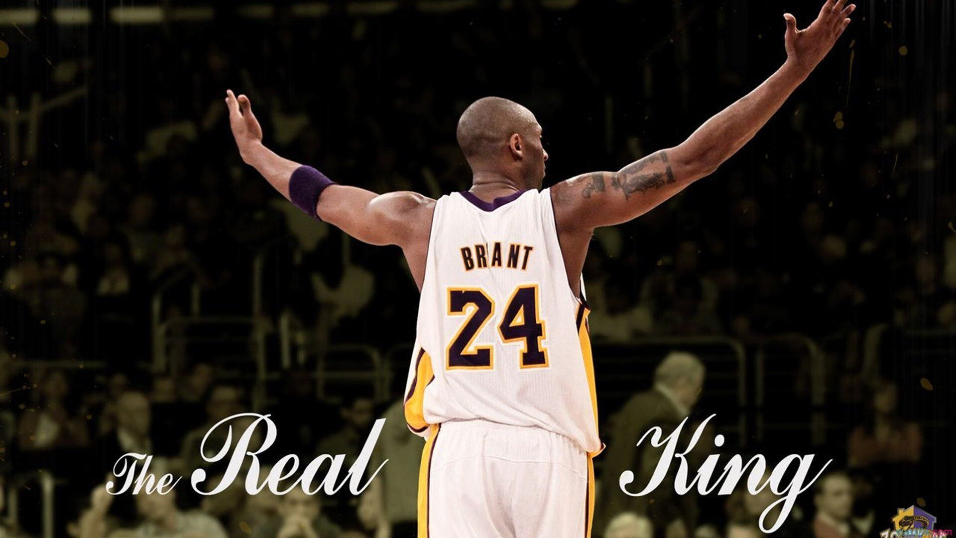 九游娱乐首页-新火燎原，当我们的狂欢胜过我的加冕